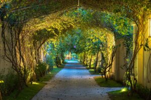 Garden,Path,In,Resort,With,Warm,Light,And,Trees,On